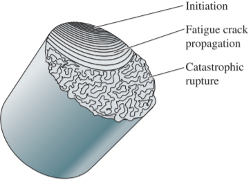 Illustration of the fractured surface resulting from a fatigue failure.