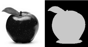 Image of binarization of an apple. There are two images of an apple in this photo. One is the original image in black and white and the other is threshold image that is black and grey (two solid colours with no shade).